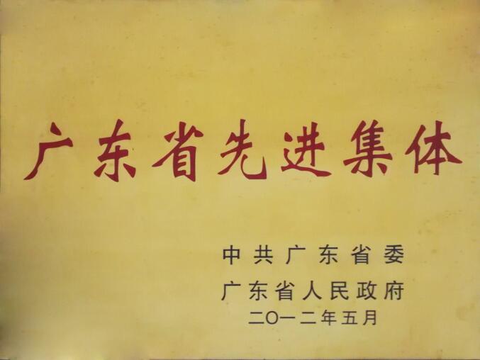广东省先进集体
